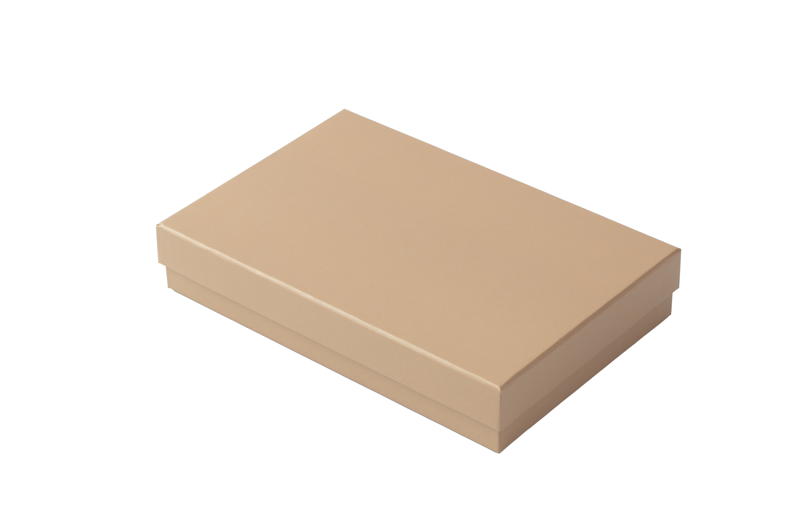 Pearlescent flat rectangular ten-piece set