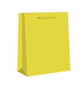 White cardboard bag (20 colors)