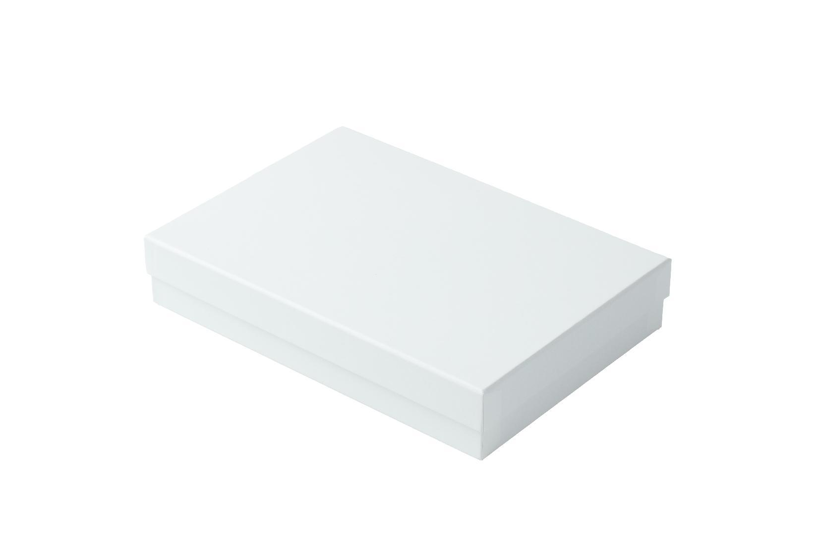 Color Rhythm Series Flat Rectangular Ten-Piece Set